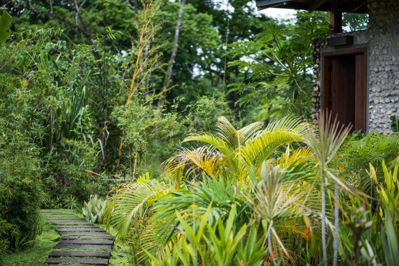 Thea Resort & Retreats - Santa Teresa Playa Santa Teresa  Exterior photo